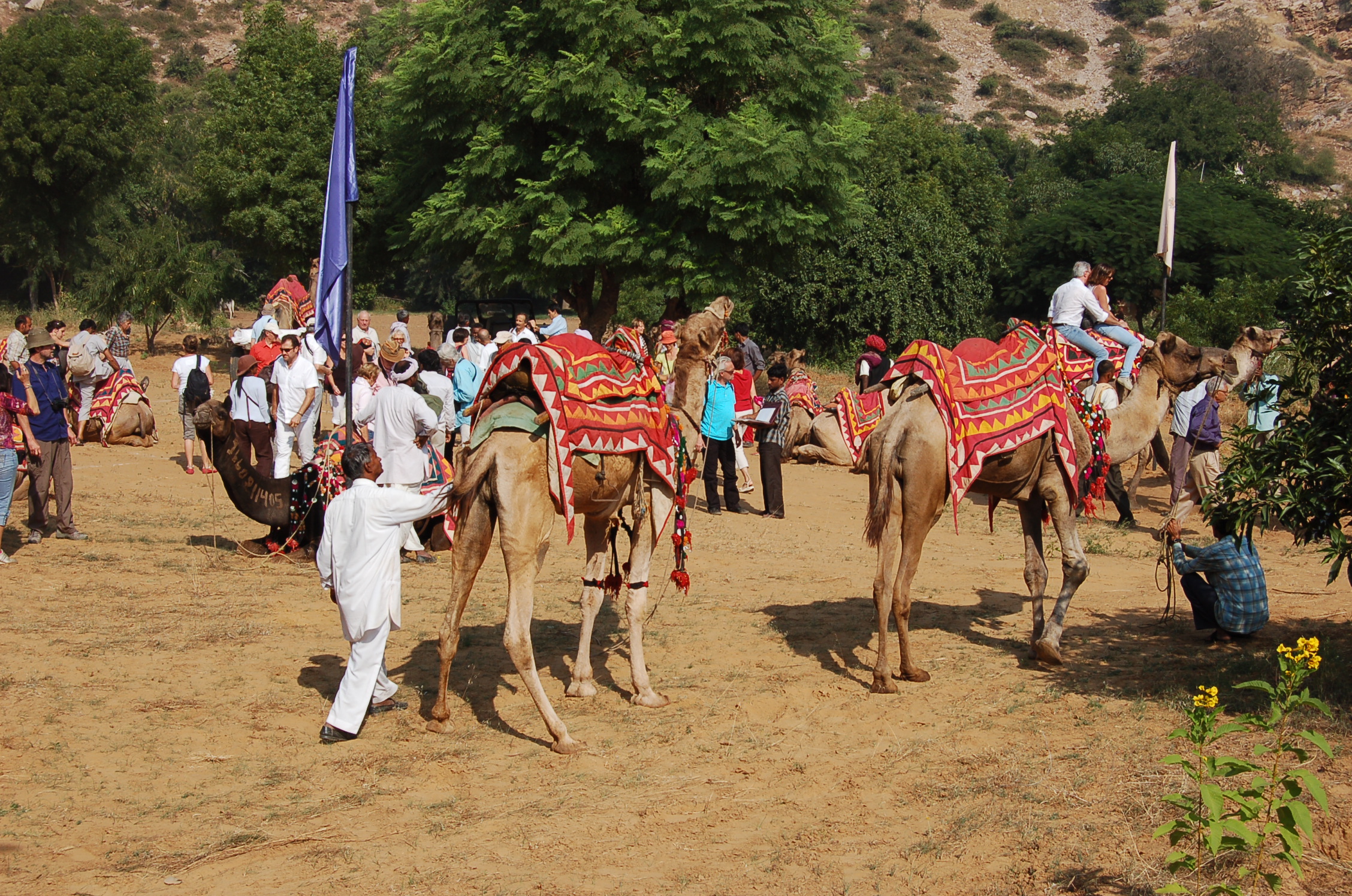 Image from Farm Lunch - Samode